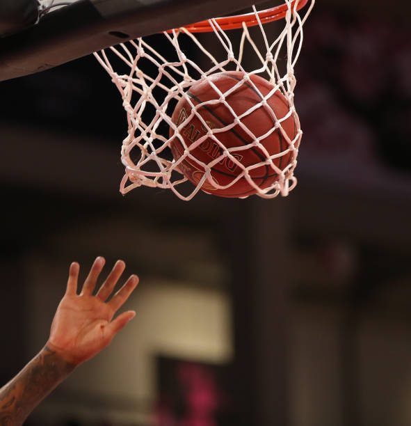 队在长期竞 队在长期竞